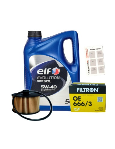 Filtr + olej 0w20 Renault Megane 4 IV 1.0 Tce 115