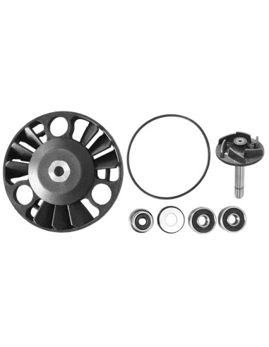 V PARTS (VICMA) ZESTAW NAPRAWCZY POMPY WODY PIAGGIO X9 - 180 CCM`00-03, 200 CCM`02-03 (11643)