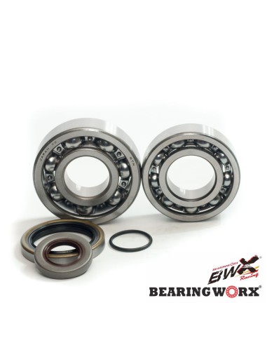 BEARING WORX ŁOŻYSKA WAŁU KORBOWEGO Z USZCZELANIACZAMI GAS GAS EC 200/250/300 '10- (NTN) (MADE IN JAPAN)