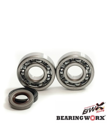 BEARING WORX ŁOŻYSKA WAŁU KORBOWEGO Z USZCZELNIACZAMI GAS GAS EC 125 '10- (NTN) (MADE IN JAPAN)