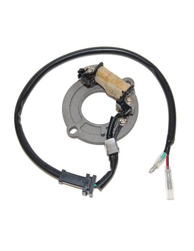 ELECTROSPORT UZWOJENIE ALTERNATORA (STATOR) HONDA CR 80 '83-'02, 85 '03-'04