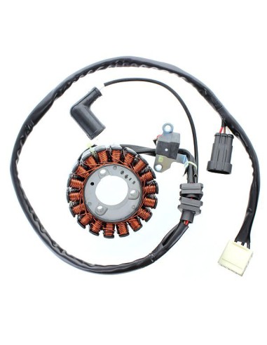 ELECTROSPORT UZWOJENIE ALTERNATORA (STATOR) APRILIA ATLANTIC 300, PIAGGIO 125/300 BEVERLY / MP3, VESPA GTS 125/300