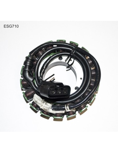 ELECTROSPORT UZWOJENIE ALTERNATORA (STATOR) TRIUMPH ROCKET III (05-10)