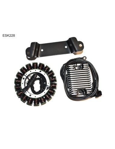 ELECTROSPORT UZWOJENIE ALTERNATORA (STATOR) KIT HD, HARLEY DAVIDSON EVO TOURING (97-98)