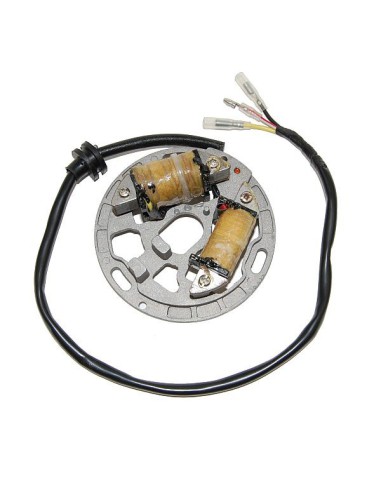 ELECTROSPORT UZWOJENIE ALTERNATORA (STATOR) ZE ŚWIATŁAMI KAWASAKI KDX 200 (89-05), KDX 220R (97-05)