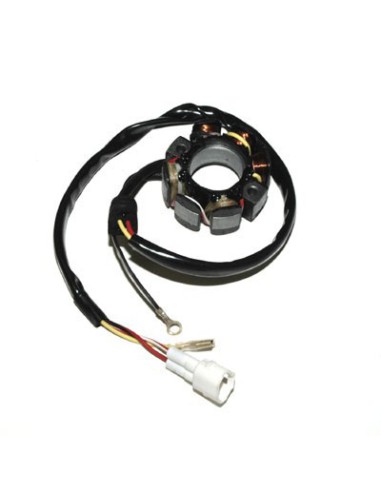 ELECTROSPORT UZWOJENIE ALTERNATORA (STATOR) ZE ŚWIATŁAMI KTM 400/450/525/540/560