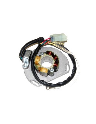 ELECTROSPORT UZWOJENIE ALTERNATORA (STATOR) ZE ŚWIATŁAMI KTM 125/200/250/300 EXC/SX/XC 06- (50W) KOMPLET Z PŁYTĄ I IMPULSATOREM