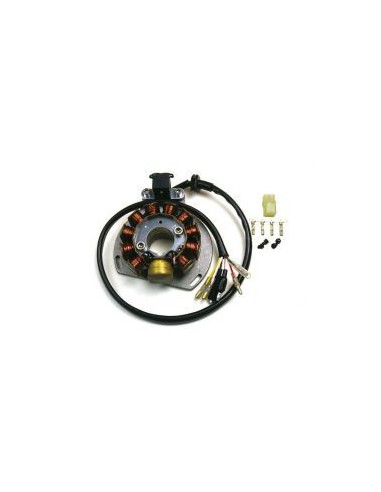 ELECTREX UZWOJENIE ALTERNATORA STATOR KTM EXC 125/200/300/380, EGS 125/200 '98-'00 (84X29X14 MM), GAS GAS