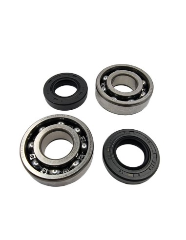 BEARING WORX ŁOŻYSKA WAŁU KORBOWEGO Z USZCZELNIACZAMI KAWASAKI KFX 80 '03-'06, SUZUKI LT-80 '87-'06 (NTN) (MADE IN JAPAN)