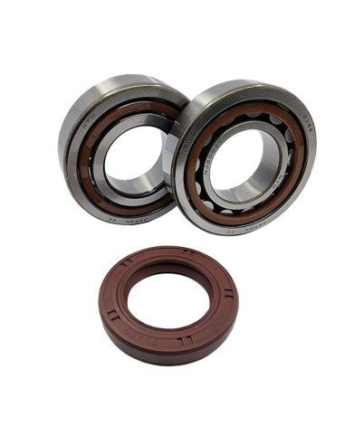 BEARING WORX ŁOŻYSKA WAŁU KORBOWEGO KTM SX/EXC 400/450/520/525 (NTN) (MADE IN JAPAN) (24-1106)