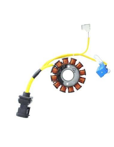 ELECTROSPORT UZWOJENIE ALTERNATORA (STATOR) APRILIA / DERBI / GILERA / ITALJET / MALAGUTI / PIAGGIO / VESPA 125/150/200CCM