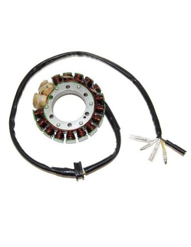 ELECTROSPORT UZWOJENIE ALTERNATORA (STATOR) HONDA XR 600R (85-00), XL 600R (83-87) HIGH POWER (2 X 100W)