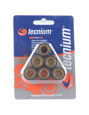 TECNIUM (VICMA) ROLKI WARIATORA 16X13MM 5G 6SZT (3918)